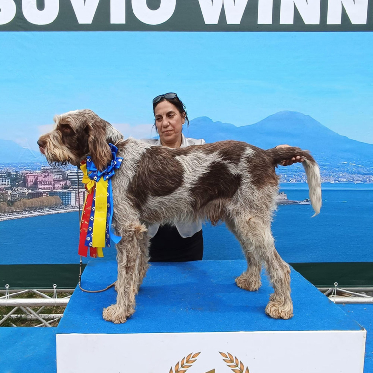 Maria Teresa Cimini